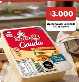 Super Bodega a Cuenta Soprole - queso gauda oferta