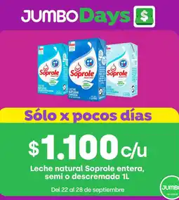 Jumbo Leche natural Soprole oferta