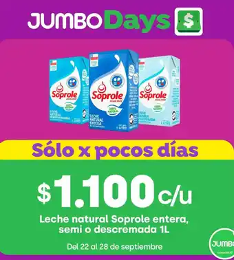 Leche natural Soprole