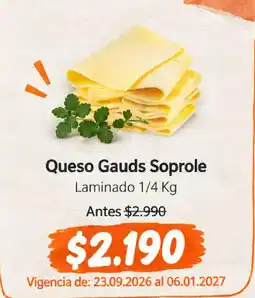 Mayorista 10 Queso Gauds Soprole oferta