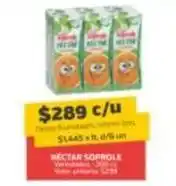 Super Ganga Soprole - nectar oferta