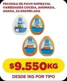 Comercial Castro Sopraval - pechuga de pavo oferta