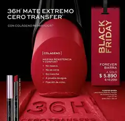 L'Bel Confort - forever barra oferta