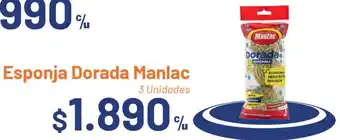 Esponja Dorada Manlac