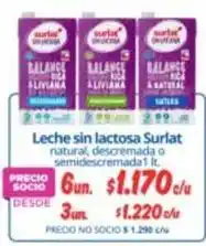 Alvi Surlat - leche sin lactosa oferta
