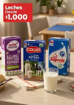 Super Bodega a Cuenta Surlat - leches oferta