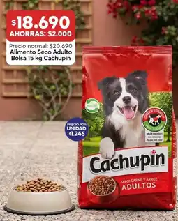Super Bodega a Cuenta Cachupin - alimento seco adulto bolsa oferta