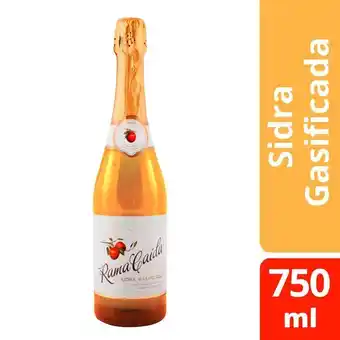 Santa Isabel Sidra rama caida demi sec 750 cc oferta