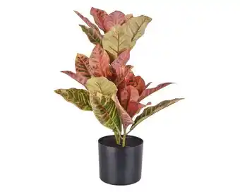 Easy Planta artificial crotón verde outzen oferta