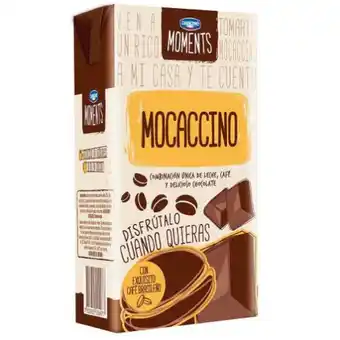 Leche moments Danone mocaccino 1 L