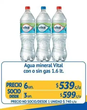 Alvi Agua Mineral Vital con o sin Gas 6 x 1.6L oferta
