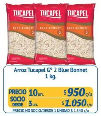 Alvi Arroz Tucapel G° 2 Blue Bonnet 10 x 10kg oferta