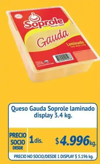 Alvi Queso Gauda Soprole Laminado Display 3.4kg oferta