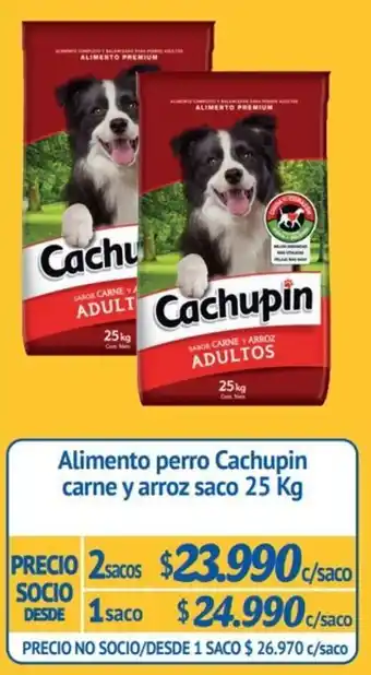 Alvi Alimento para Cachupin Carne y Arroz Saco 2 x 25kg oferta