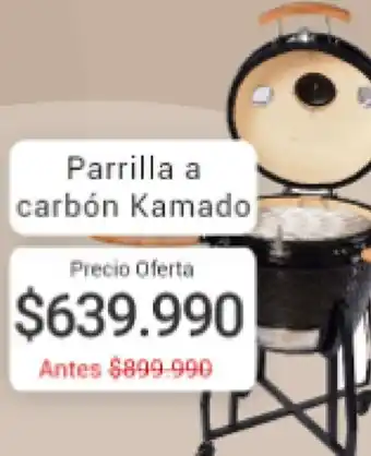 Easy Parilla a Carbón Kamado oferta