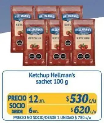 Alvi Ketchup Hellmann's 12 x 100g oferta