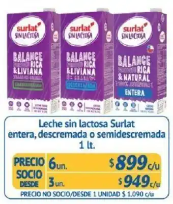 Leche sin Lactosa Surlat Entera, Descremada o Semidescremada 6 x 1lt