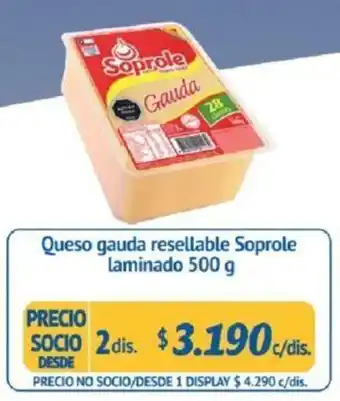 Alvi Queso Gauda Soprole Laminado 2 x 500g oferta