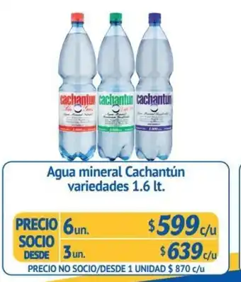 Alvi Agua Mineral Cachantun variedades 1.6 lt oferta