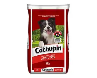 Easy Alimento perro 25 kg premium carne y arroz cachupin oferta