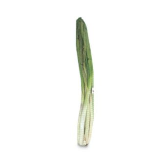 Makro Cebolla larga rama kg oferta