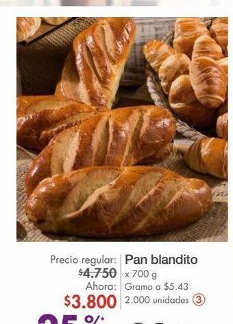 Metro Pan blandito oferta