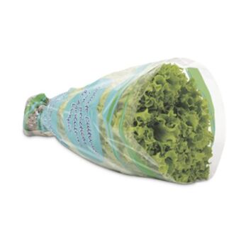 Makro Lechuga verde crespa hidroponica 180g oferta