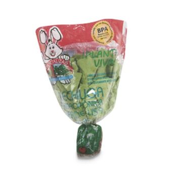 Makro Lechuga verde lisa hidroponica 180g oferta