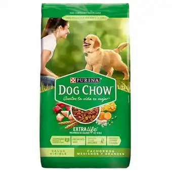Dog chow cachorro razas medianas y grandes 8kg