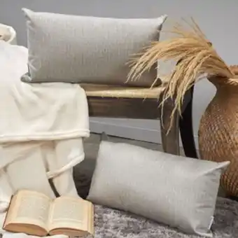 Brissa Set x2 cojin textura gris oferta
