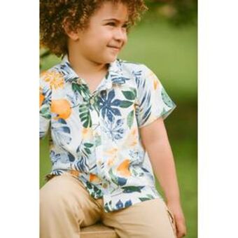 Polito Camisa niño oferta