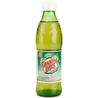 MegaTiendas Gaseosa canada dry ginger ale x 300 ml oferta