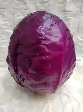 Carulla Repollo morado oferta