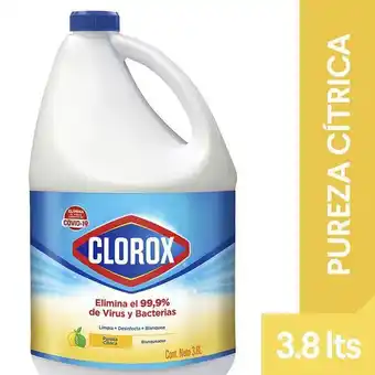 Éxito Blanqueador pureza cítrica clorox 624662 oferta