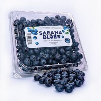 Carulla Arandanos eureka extra 500 gr oferta