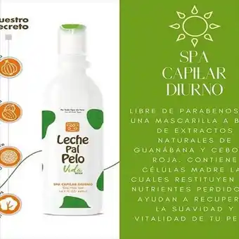 Éxito Spa capilar diurno 440ml oferta