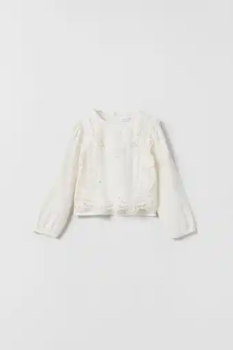 Camisa bordados