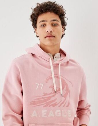 American Eagle Buzo ae bonfire fleece con gráficos y capucha oferta