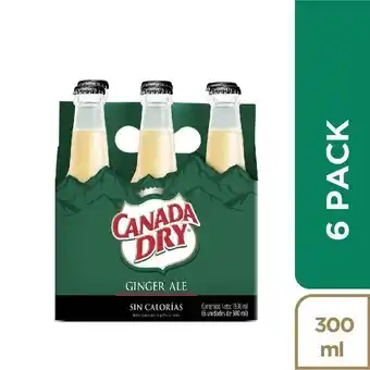 Éxito 6pack ginger friopack cero canada dry 1800 ml oferta