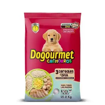 Merqueo Dogourmet cachorro 3 cereales oferta