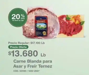 Makro Carne Blanda para Asar y Freír Ternez oferta