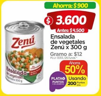 Surtimax Zenu Ensalada de vegetales x 300g oferta