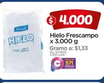 Surtimax Hielo Frescampo x 3000g oferta
