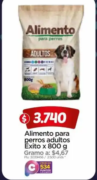 Surtimax Alimento para perros adultos Exito x 800g oferta
