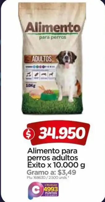 Surtimax Alimento para perros adultos Exito x 10000 g oferta