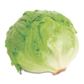 Makro Lechuga batavia granel kg oferta
