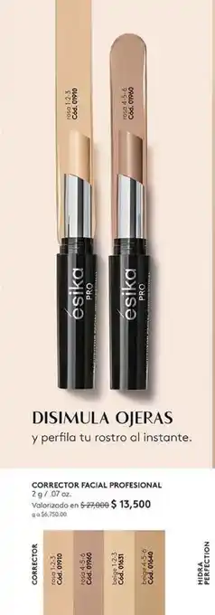 Ésika Corrector Facial Professional 2g / .07oz oferta