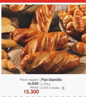 Metro Pan blandito oferta
