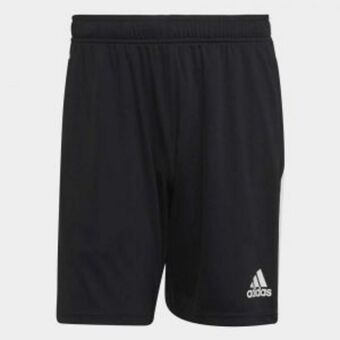 Deportivos Carvajal Essentials oferta