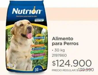 Easy Alimento nutrion adulto 30 kg oferta